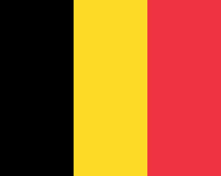 Vosteen • Floristenbedarf • web element flagge belgien 1