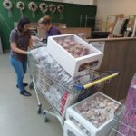 Saskia und Yvonne bei der Arbeit