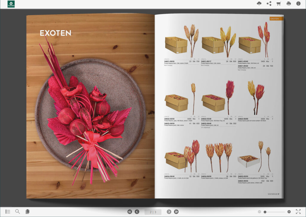 Vosteen • Floristenbedarf • Trendkataloge 57 26-1149-VOS_Web_Exoten1